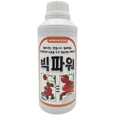 빅파워 500ml